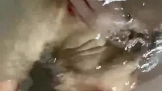 300NTK-711,300NTK-711 [HD] 【F乳エロ！！GALビッチ！！P活！！】【景気づけオナ撮影で性欲解放】【ミニマムボインの神スタイル激震3搾精！！】普段のつんけんした态度から急変！！指オナで性欲解放スイッチオンのデレ淫乱モードに突入！！ペロペロゴン攻め変态オヤジをも凌驾する変态ドビッチSEXが开幕！！デフォでゴム无し挿入の天国マ○コで连続膣内搾精ヨユーっすww【ハメ撮りとれちゃいました：03】