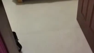 Hileg Bitch Fetishism 高身長×美人×美尻×美脚 ハイレグビッチ 愛乃零